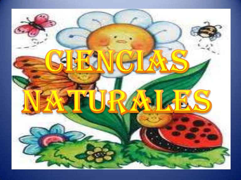 CIENCIAS NATURALES (3ERO B).