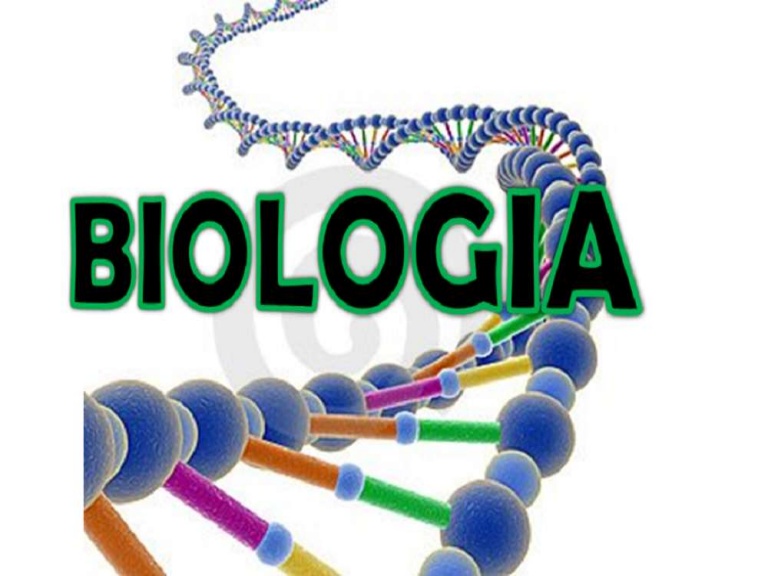  Biología (4TO ACADÉMICO).