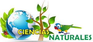 CIENCIAS NATURALES (2DO)